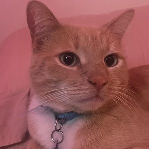 Meet your Posher, Kaylie